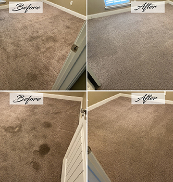 before-after-carpet-cleaning Before and after carpet cleaning photos
