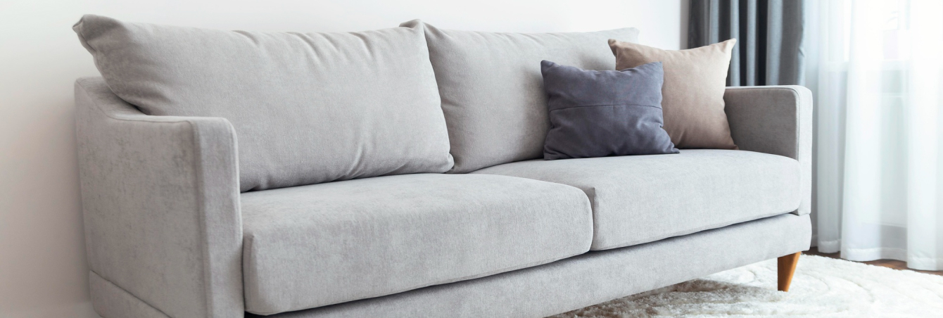 clean-couch-image Pet stain and odor removal couch