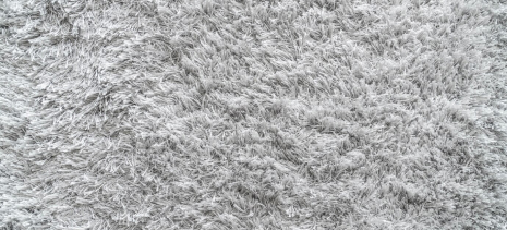 fumigation-treatment-image Shag rug