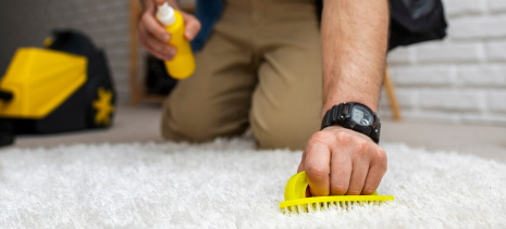 pet-odor-elimination-image Scrubbing rug
